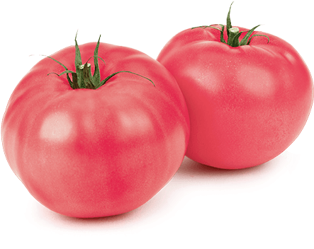 Pembe Domates Fidesi