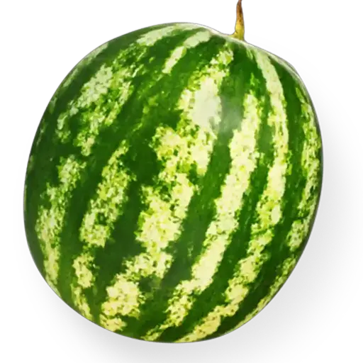 Karpuz Fidesi