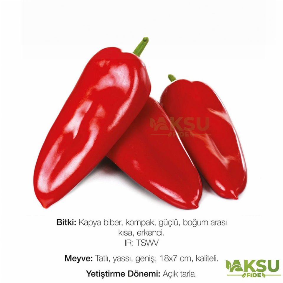 Yahya F1 Tatlı Tarla Kapya Biber Fidesi