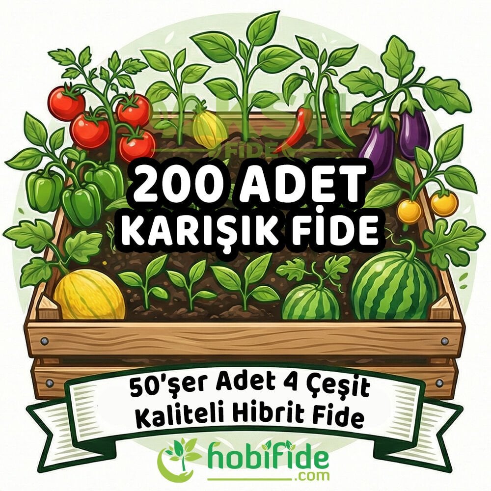 200 Adetli Karışık Hibrit Fide Seti