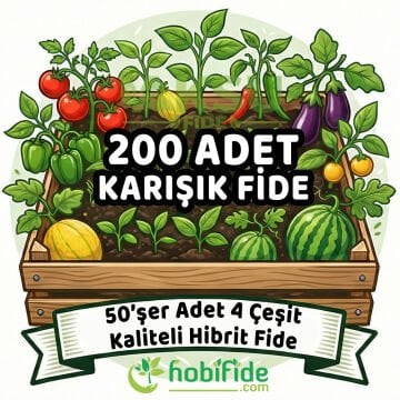 200 Adetli Karışık Hibrit Fide Seti